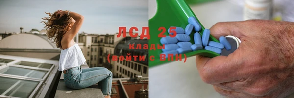 крисы Абаза
