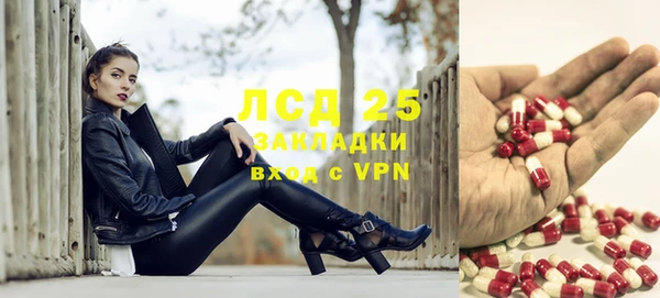 крисы Абаза