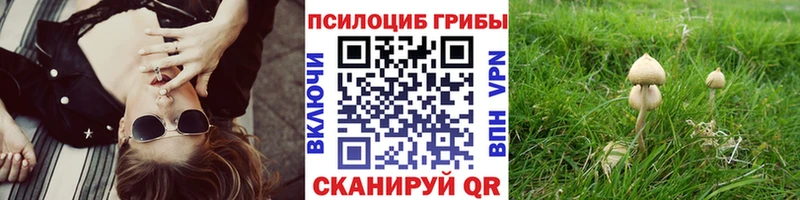 нарко площадка Telegram  где найти наркотики  Венёв  Галлюциногенные грибы прущие грибы  гидра маркетплейс 