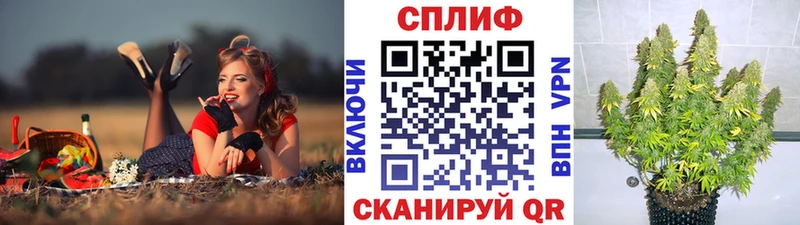 Шишки марихуана Amnesia  купить закладку  Венёв 